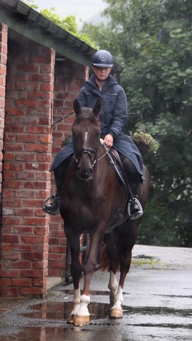 Harry Hall All-Weather Full-Length Long Equestrian Jacket